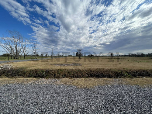 Lotes En Venta 163 Y 515, Gorina.