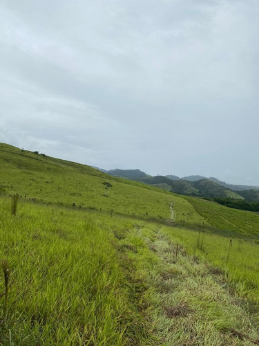 Imagem 17 de 30 de G03- Lotes Com Ótima Topografia Em Jacareí