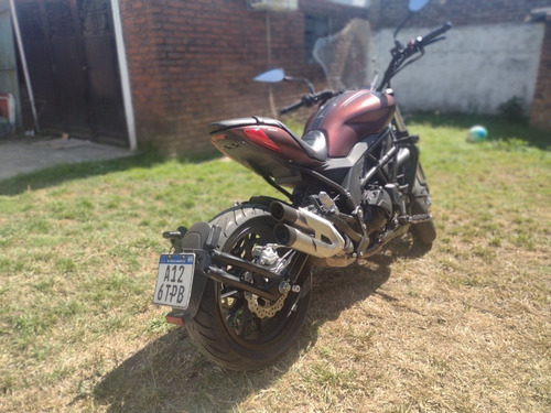 Imagen 5 de 18 de Benelli 502 C