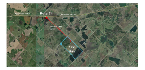 Venta Campo 172 Has  Partido De Ayacucho.  A 3 Km De Ruta 74