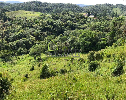 Imagem 3 de 6 de Águas Mornas Sc - Ótimo Terreno Com 70.500m² Á Venda - Te00050 - 70795932
