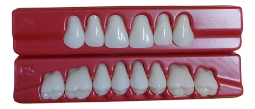 Dientes Acrilico X2 Color 62 A2 Claro Tableta Acritone