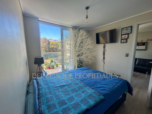 Arriendo Departamento En Mirador Placeres Marzo A Diciembre