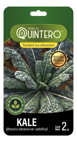 Semillas Kale Para Huerta 100% Orgánica