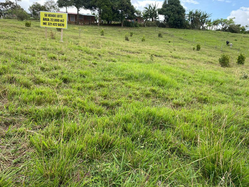 Imagen 5 de 14 de Lote De Terreno