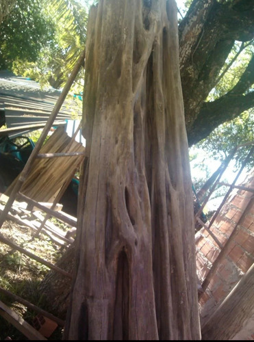 Toras De Guarantã Do Norte Blockfort Araçariguama. (Usado)