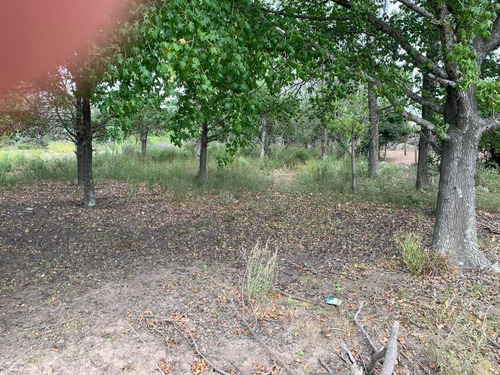 Imperdible Terreno Sobre Panamericana A La Venta O Alquiler En Campana, G.b.a. Zona Norte, Argenti