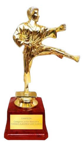 Trofeo Karate Single Personalizado Laser Incluido As15