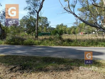 Imagen 5 de 10 de Terreno En Punta Del Este (el Tesoro) - Ref. 1467