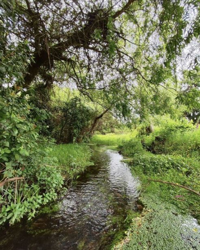 Parcela En Venta En El Hermoso Lugar De Upeo