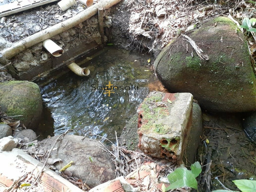 Imagem 30 de 30 de Chácara Para Venda Em Centro Morretes-pr - 5589