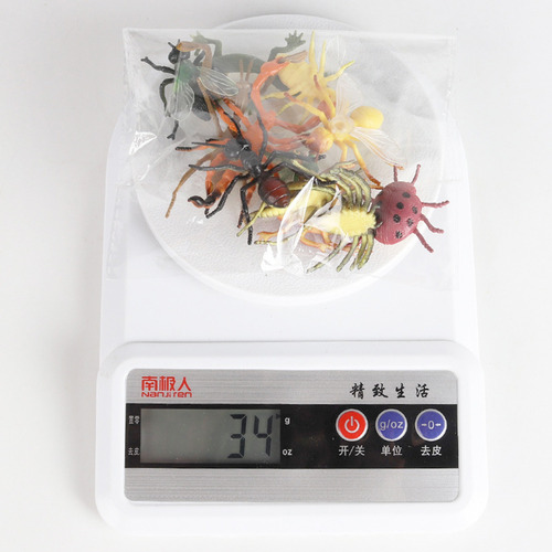 I Modelo De Insecto De Simulación 12 Juegos De Ciencia Infan