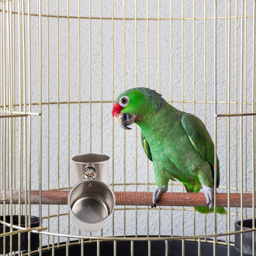 Tazas Para Platos De Alimentación De Pájaros Cuenco De Comid