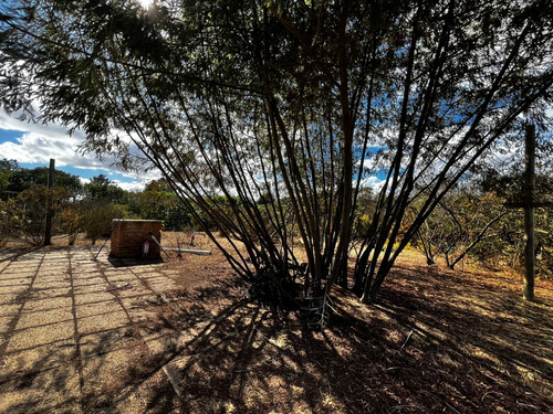 Valle Alegre, Quintero