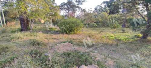Imagen 3 de 10 de Oportunidad - Punta Del Este Marly
