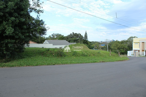 Imagem 10 de 13 de Terreno De Esquina Casemiro De Abreu 866m² Bairro Perpétuo Socorro - 12860