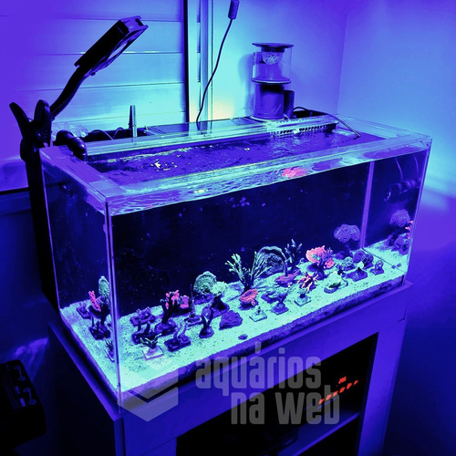 Imagem 4 de 5 de Aquário Com Sump Traseiro 160 Litros 80x50x40 Vidro 6mm