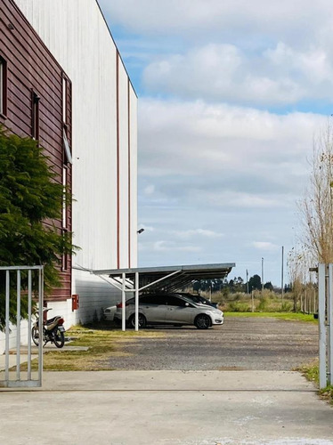 Imagen 3 de 18 de Nave Logística E Industrial En El Polígono Industrial Ezeiza
