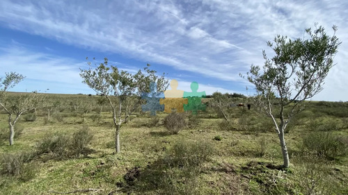 Oportunidad En Paraje Las Cañas !!! Chacra De 5 Hectareas - Ref : Eqp5523