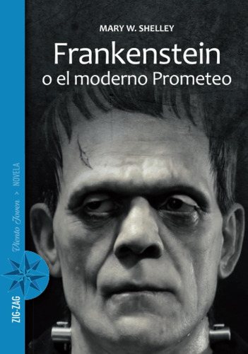 Libro: Frankenstein O El Moderno Prometeo: O El Moderno Prom