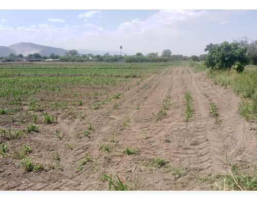 Terreno En Venta En Carlos Real (san Carlos), Lerdo, Durango