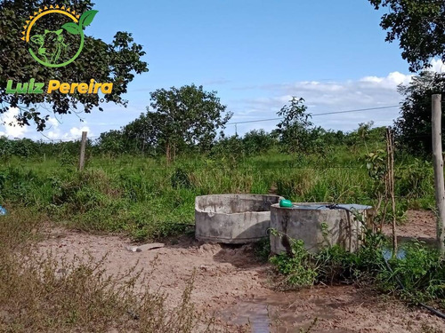 Imagem 4 de 4 de Fazenda À Venda Em Natividade - T0 - De 51 Alqueirões (pecuária) - 1768