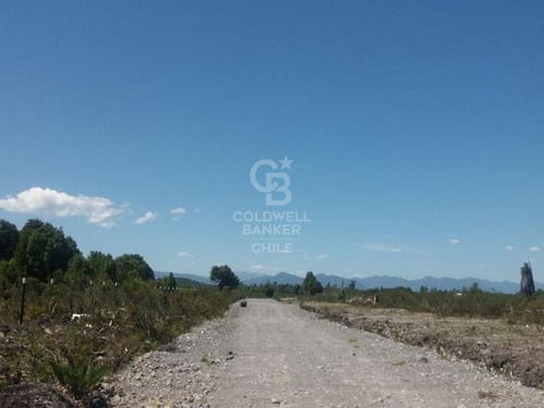 Parcela De 5000 M² Camino Ensenada
