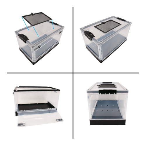 Caja Abatible De Cría Para Arácnidos Y Reptiles. Kewoow