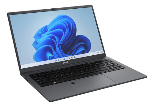 Notebook Gfast Intel Celeron N4020 8gb Ssd 120gb Windows 11 Color Negro