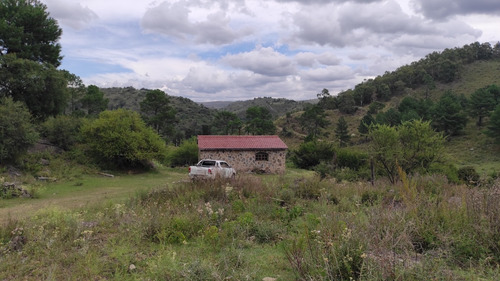 Imagen 11 de 15 de Campo A La Venta En Potrero De Garay Con 200 Mts De Costa Al Río Los Espinillos De 17 Ha.
