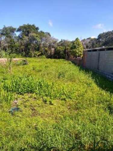 Imagem 7 de 13 de Chácara Em Itanhaém, No Bairro Paranapuã, Com 1800 M² De Área Total Ref: 8071/ac