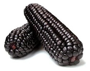 60 Sementes De Milho Preto Crioulo Peruano.