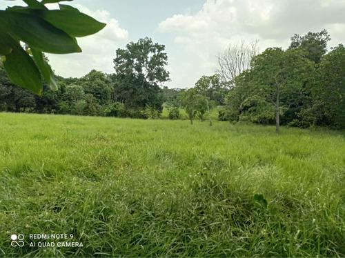 Vendo Esta Finca De 35 Tareas En Monte Plata