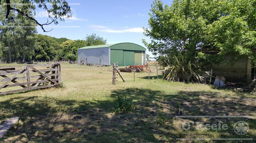 Imagen 8 de 15 de Punta Indio 100 Has Campo En Venta - Ideal Feed Lot - Oportunidad