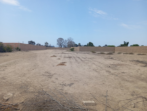 Terreno 1,900 Mts Cuadrados, Chincha Grocio Prado