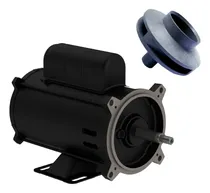 Comprar Motor Weg Para Bomba 1\u002F2cv + Rotor Dancor 1\u002F2cv 805