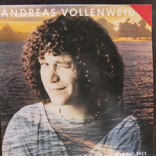 Vinilo Andreas Vollenwider  Behind The Gardens  Bte123