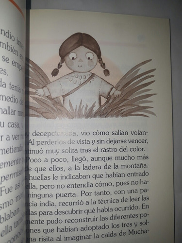 Libro El Robo De Los Colores - Ika Bremer (Usado)