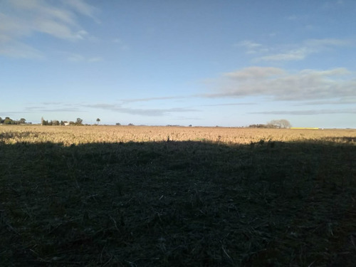 Imagen 16 de 29 de Chacra En Madariaga