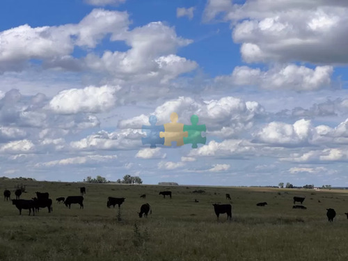 Campo En Durazno, 687 Hectáreas En Venta - Ref : Eqp6831