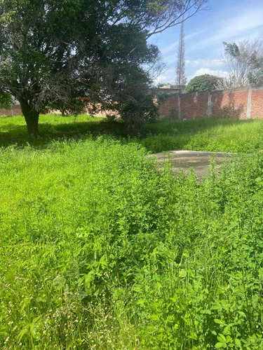 Imagen 2 de 10 de 3 Terreno En Oaxtepec 500 Mt Cuadrados Planos Cada Uno Bardeados Excelente Prusvalia Cerca De Six Flax