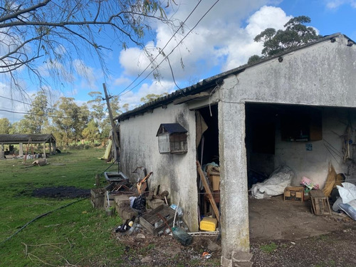 Gran Oportunidad, Chacra Tala, Canelones 200 Mts De La Ruta 7