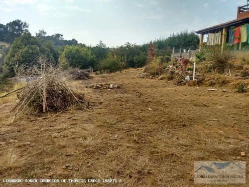 Imagem 7 de 15 de Chácara Para Venda Em Pinhalzinho, Zona Rural, 5 Dormitórios, 2 Suítes, 4 Banheiros, 5 Vagas - 068_2-314524
