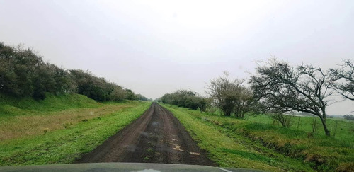 Imagen 10 de 21 de Campo En General Madariaga-
