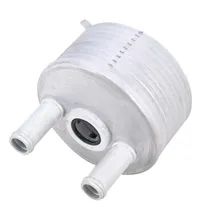 Comprar Enfriador De Transmisión Para Vw Jetta Bora Beetle 09g409061