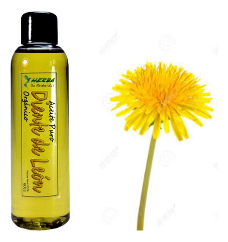 Aceite De Diente De León - 60ml - Natural - 100% Puro