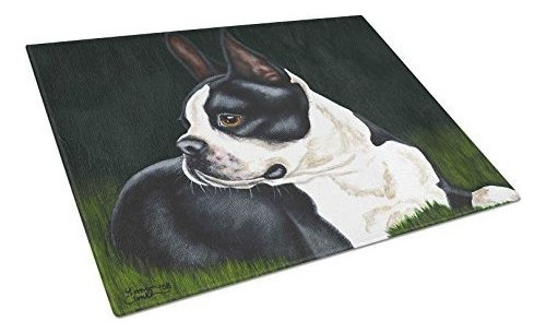 Caroline's Treasures Amb1321lcb Boston Terrier Beauty Ta