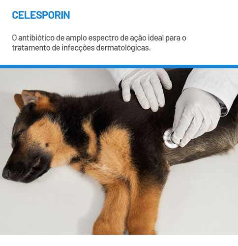 Celesporin Antibiótico 600mg Cartela Com 10 Comprimidos Cães