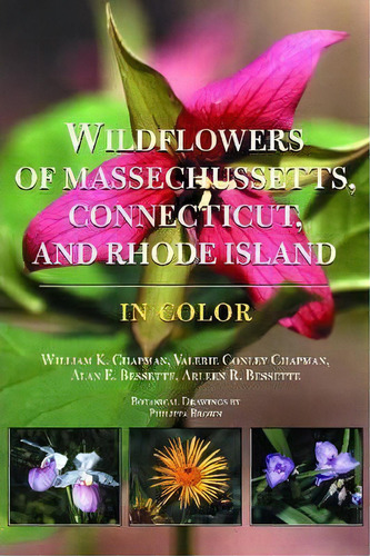 Wildflowers Of Massachusetts, Connecticut, And Rhode Island In Color, De William K. Chapman. Editorial Syracuse University Press, Tapa Blanda En Inglés