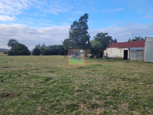 Imagen 9 de 26 de Campo De 34 Hás Con Casa Ruta 12 Pueblo Edén